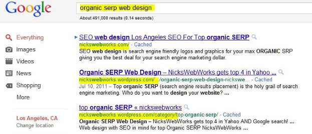 NWW top organic serp seo webdesign screen shot